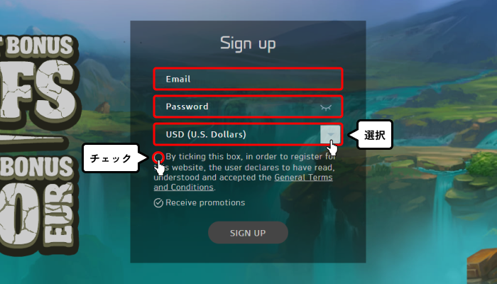 ボナンザゲーム入金不要ボーナス受取方法(登録入力画面)
